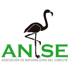 Logotip ANSE
